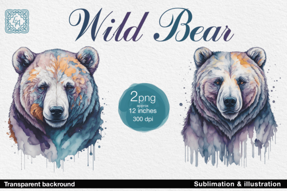 Download Wild Bear Illustration 2 PNG - Wild Collection
