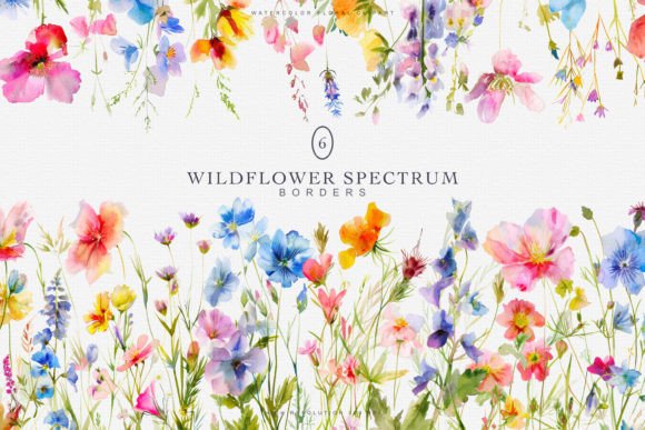 Download Watercolor Colorful Wildflowers Borders - Wild Collection